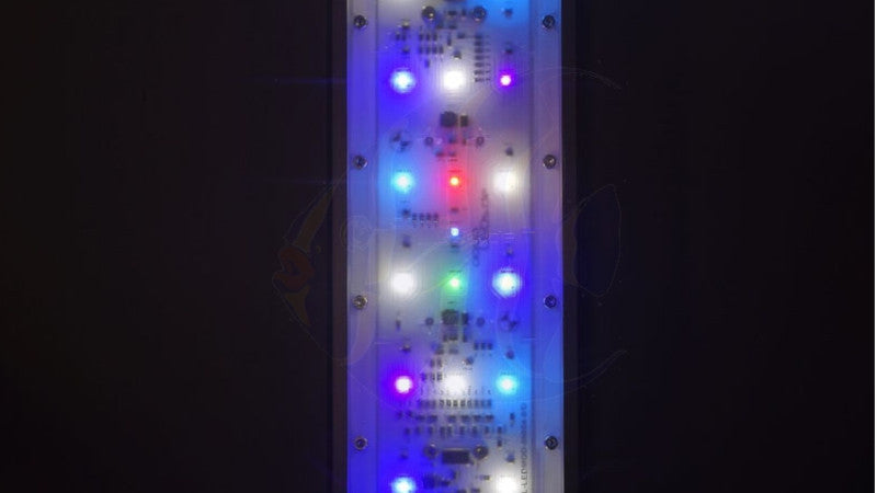 aquaBAR HighColor+ – Die innovative LED-Aquarienbeleuchtung fürs Meerwasseraquarium - AQUAWORLD.AT