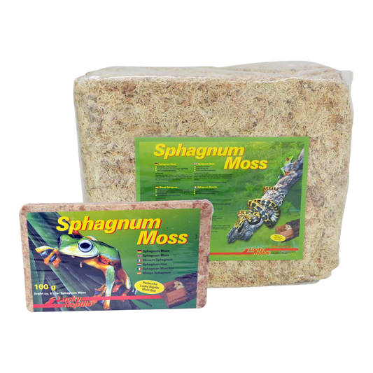 LUCKY REPTILE SPHAGNUM MOSS