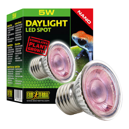 Exo Terra Daylight LED Spot NANO  ist eine energieeffiziente Tageslicht-LED-Lampe, die in Nano- und Mini-Terrarien für tolle Lichtverhältnisse sorgt und dabei hohe Mengen an sichtbarem Licht ausstrahlt.