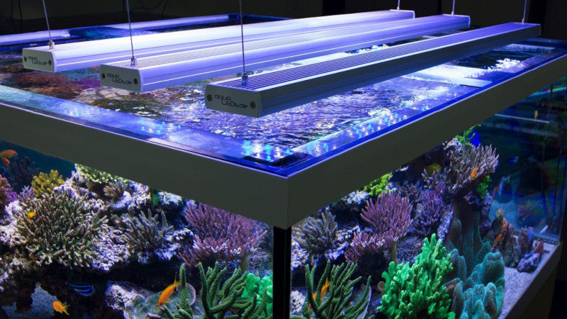 Webbasierte Steuerung der aquaBAR HighColor+ über aquaCLOUD Interface