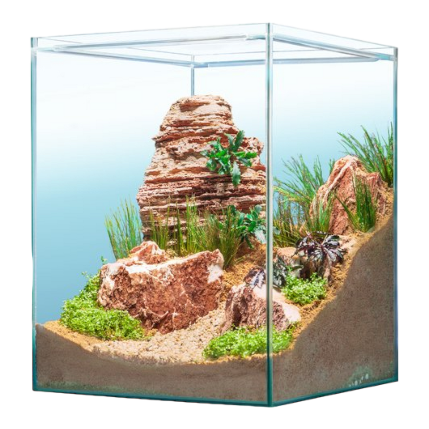 sera Hardscape Desert – für 80 l - AQUAWORLD.AT