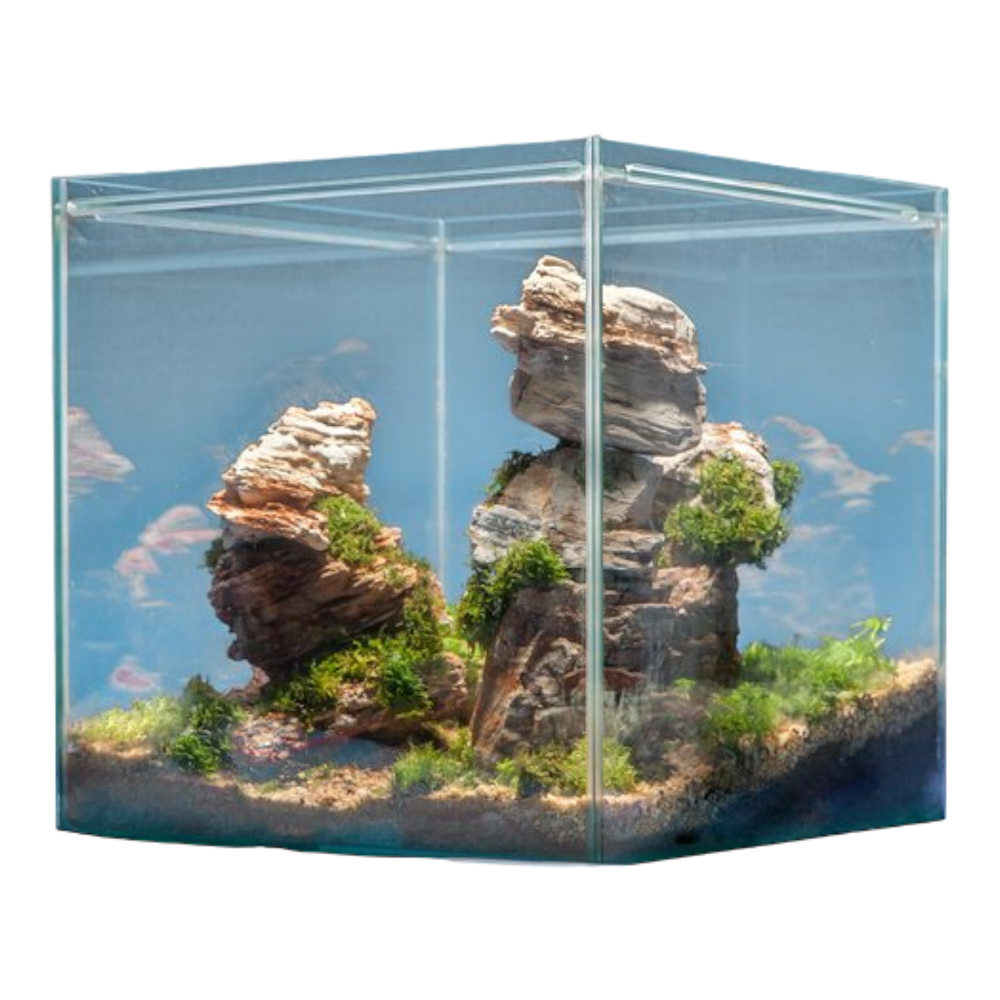 sera Hardscape Grand Canyon – für 64 l