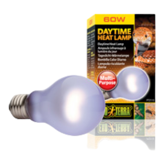 Exo Terra - Daytime Heat Lampe      Breitspektrum-Tageslichtlampe für Terrarien     Erzeugt Wärmegefälle zur Thermoregulierung     Erhöht die Umgebungslufttemperatur     Stimuliert Brutverhalten durch UVA-Strahlen     Kann mit Night Heat Lamp oder Infrared Basking Spot für einen 24-Stunden-Zyklus kombiniert werden