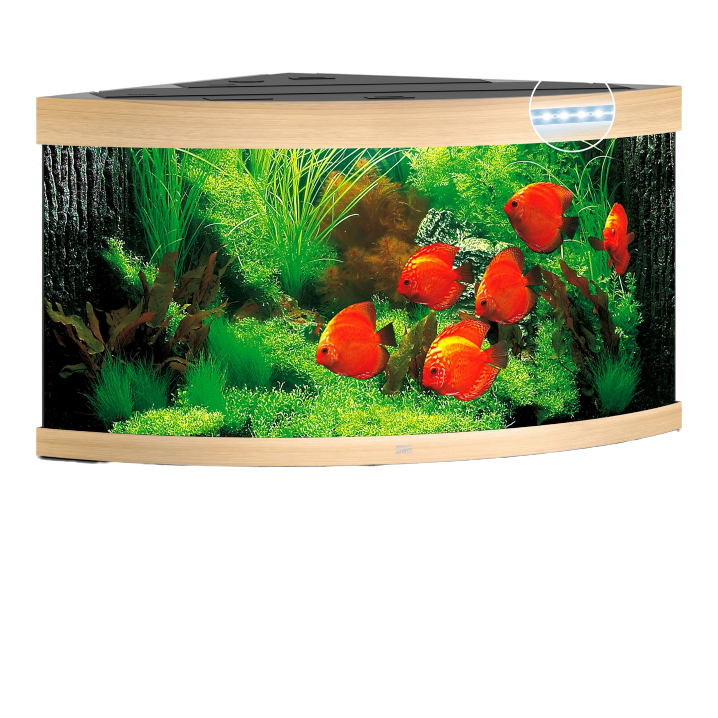 Juwel Trigon 350 LED – Eck-Aquarium mit Tiefe - AQUAWORLD.AT, Erfolgreich durch Fachliche Beratung
