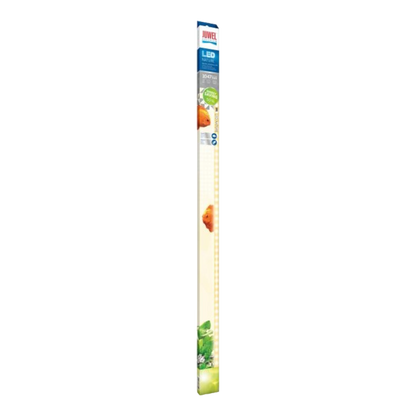Juwel Nature LED - AQUAWORLD.AT, Erfolgreich durch Fachliche Beratung