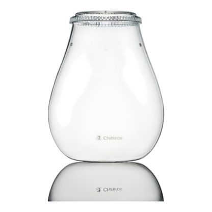 Chihiros Glass Pot Dew Shaped – Stilvoller Glasbehälter für Pflanzenliebhaber