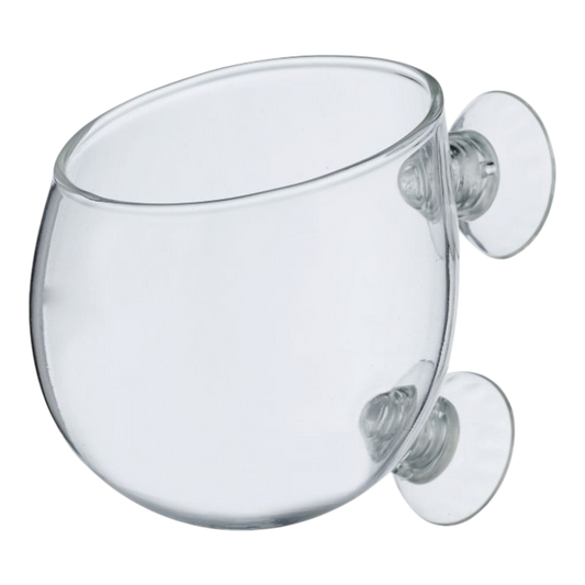 Chihiros Plant Pod – Elegantes Glasgefäß für Aquarienpflanzen - AQUAWORLD.AT
