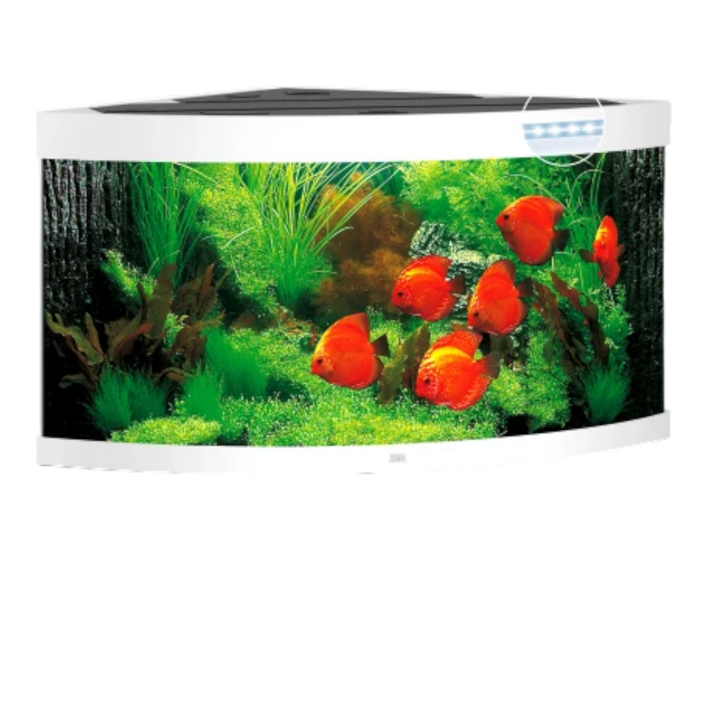 Juwel Trigon 350 LED – Eck-Aquarium mit Tiefe - AQUAWORLD.AT, Erfolgreich durch Fachliche Beratung