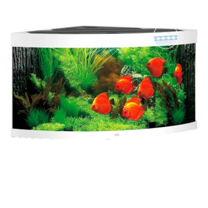 Juwel Trigon 350 LED – Eck-Aquarium mit Tiefe - AQUAWORLD.AT, Erfolgreich durch Fachliche Beratung