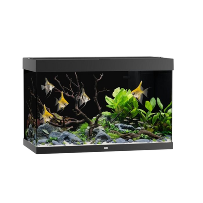 Juwel Aquarium RIO 290 LED – Eleganz und Innovation für Ihre Unterwasserwelt - AQUAWORLD.AT