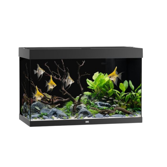 Juwel Aquarium RIO 290 LED – Eleganz und Innovation für Ihre Unterwasserwelt - AQUAWORLD.AT