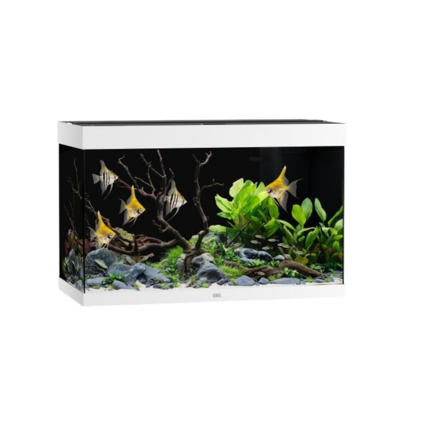 Juwel Aquarium RIO 290 LED – Eleganz und Innovation für Ihre Unterwasserwelt - AQUAWORLD.AT