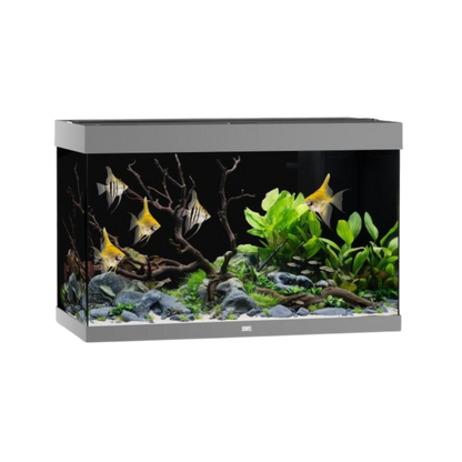 Juwel Aquarium RIO 290 LED – Eleganz und Innovation für Ihre Unterwasserwelt - AQUAWORLD.AT