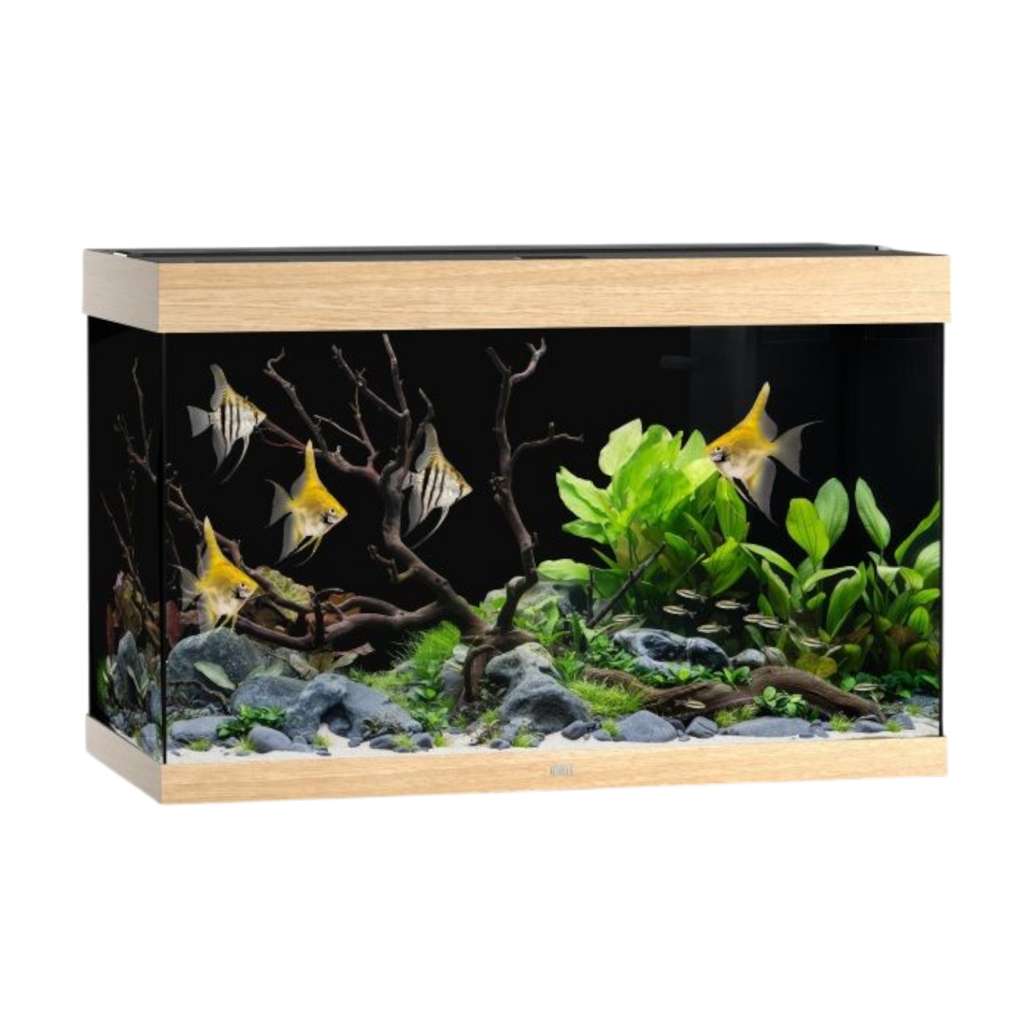 Juwel Aquarium RIO 290 LED – Eleganz und Innovation für Ihre Unterwasserwelt - AQUAWORLD.AT