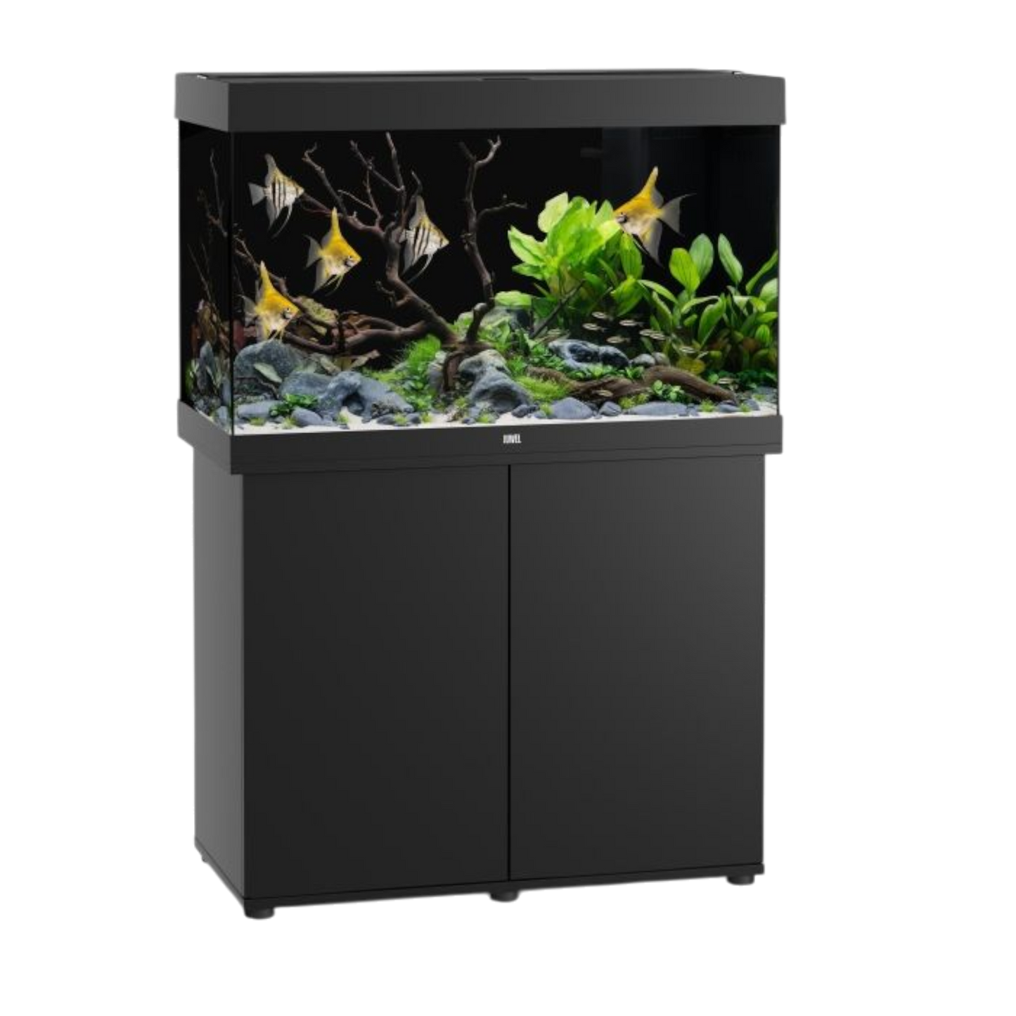 Juwel Aquarium RIO 290 LED – Eleganz und Innovation für Ihre Unterwasserwelt - AQUAWORLD.AT