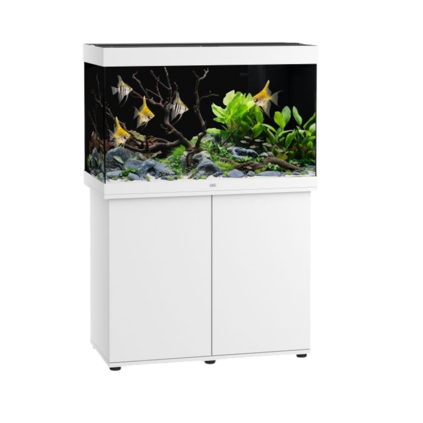 Juwel Aquarium RIO 290 LED – Eleganz und Innovation für Ihre Unterwasserwelt - AQUAWORLD.AT