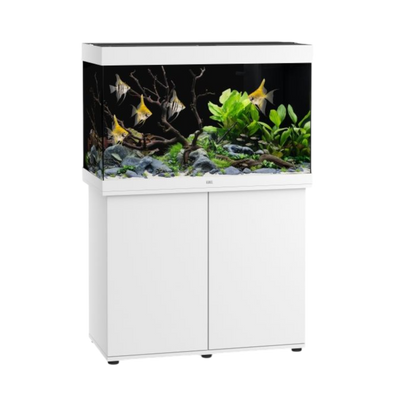Juwel Aquarium RIO 290 LED – Eleganz und Innovation für Ihre Unterwasserwelt - AQUAWORLD.AT