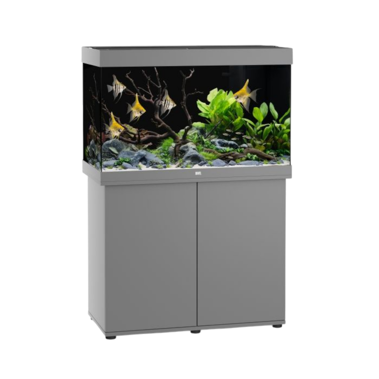 Juwel Aquarium RIO 290 LED – Eleganz und Innovation für Ihre Unterwasserwelt - AQUAWORLD.AT