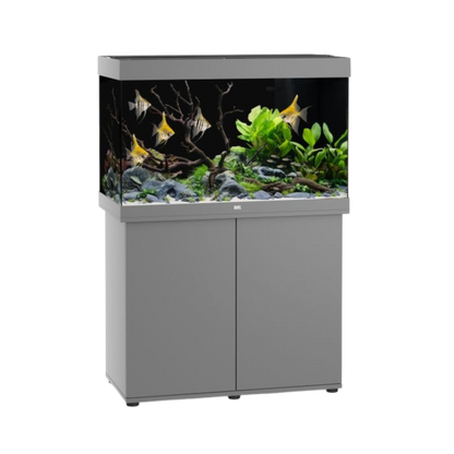 Juwel Aquarium RIO 290 LED – Eleganz und Innovation für Ihre Unterwasserwelt - AQUAWORLD.AT