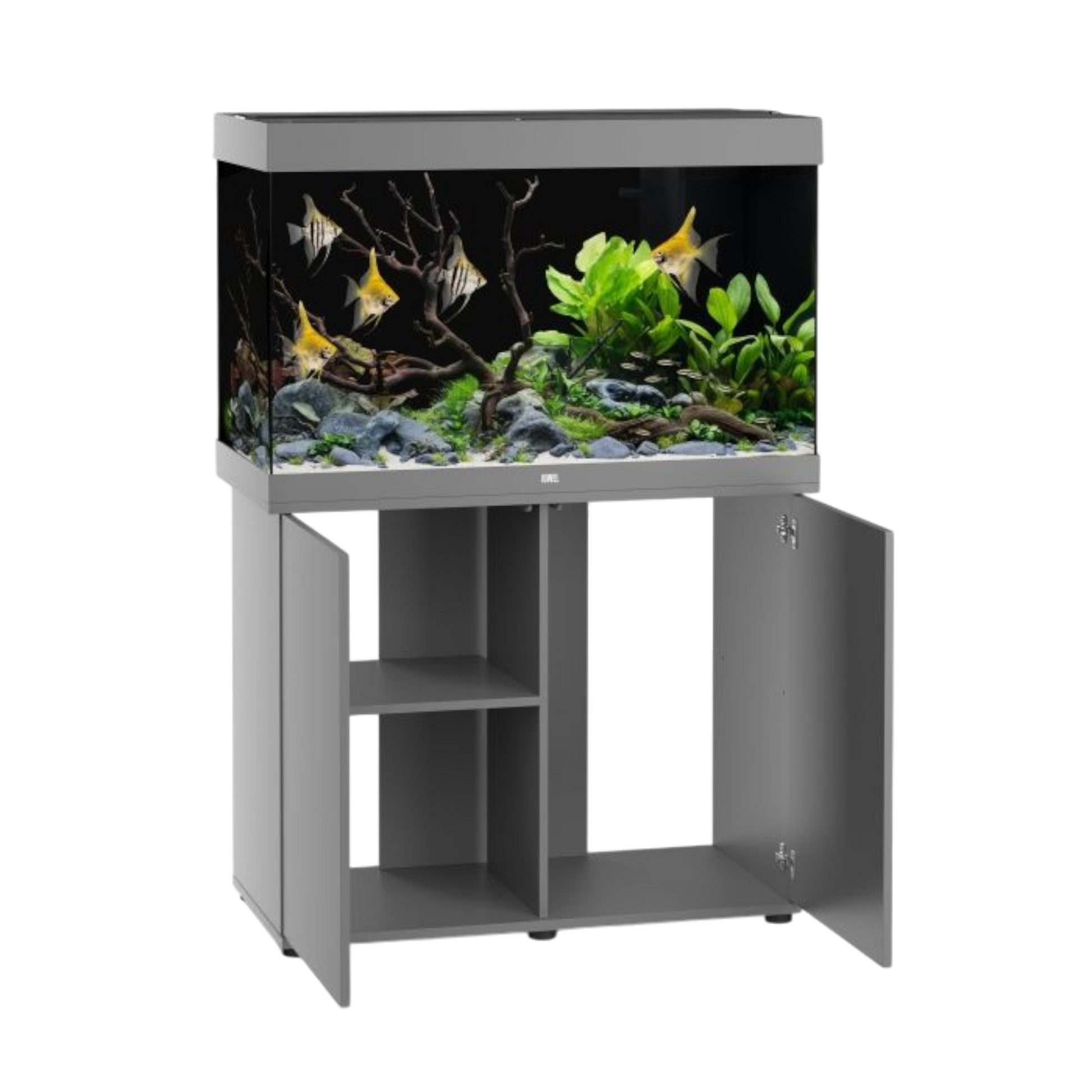 Juwel Aquarium RIO 290 LED – Eleganz und Innovation für Ihre Unterwasserwelt - AQUAWORLD.AT