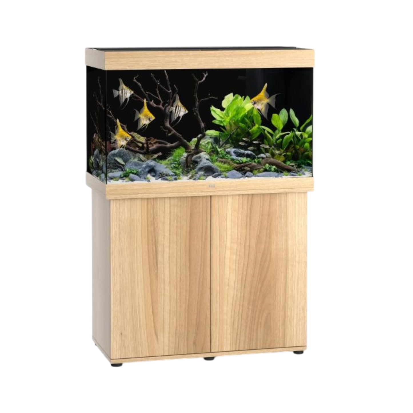Juwel Aquarium RIO 290 LED – Eleganz und Innovation für Ihre Unterwasserwelt - AQUAWORLD.AT