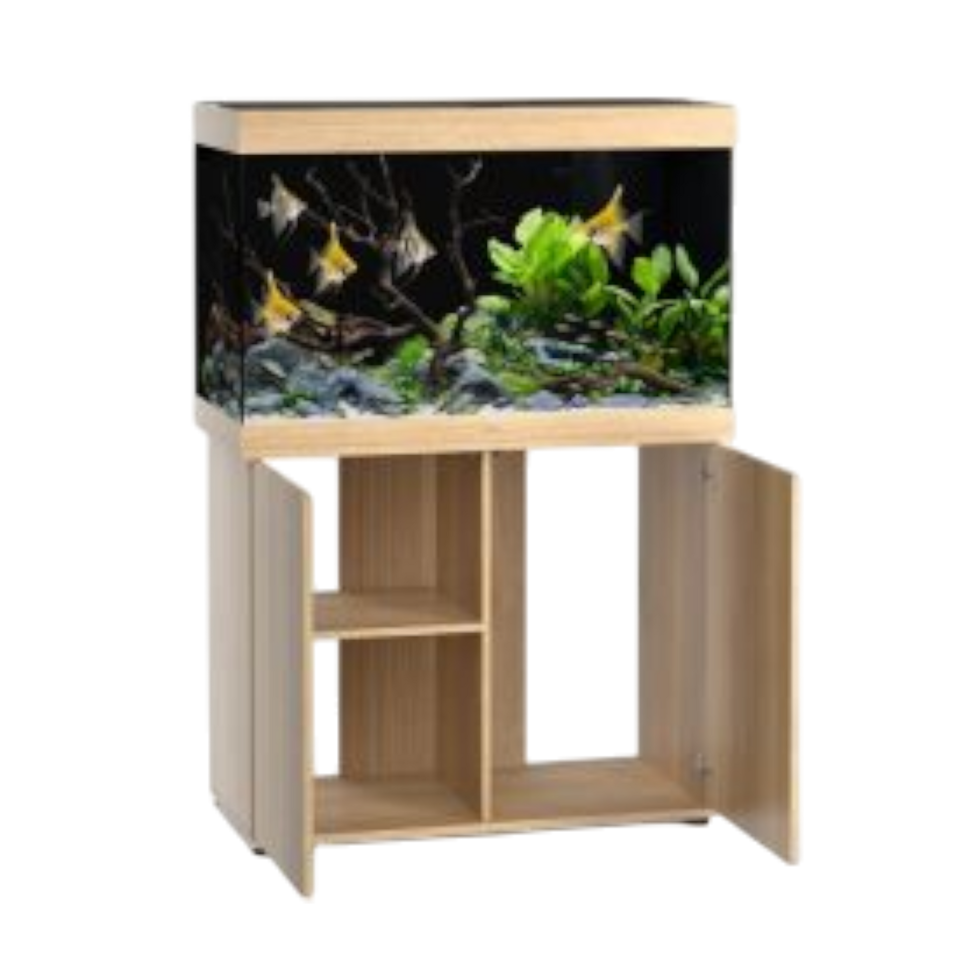 Juwel Aquarium RIO 290 LED – Eleganz und Innovation für Ihre Unterwasserwelt - AQUAWORLD.AT