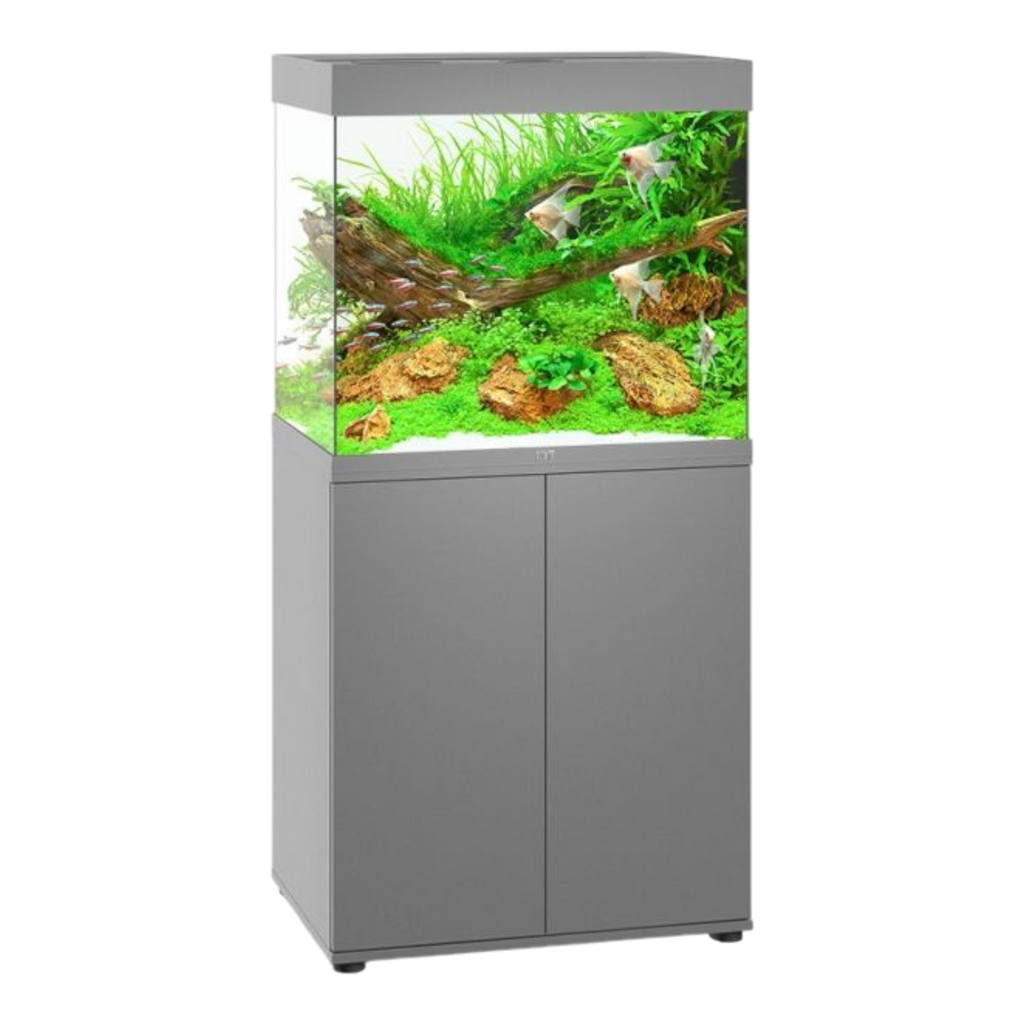 JUWEL LIDO 120 LED Aquarium – Stilvoll und Kompakt - AQUAWORLD.AT