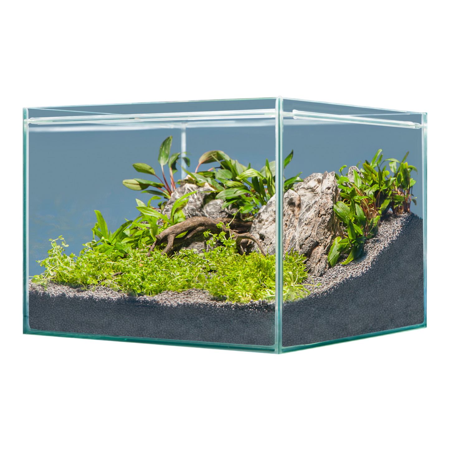 sera Hardscape Asia – für 48 l - AQUAWORLD.AT