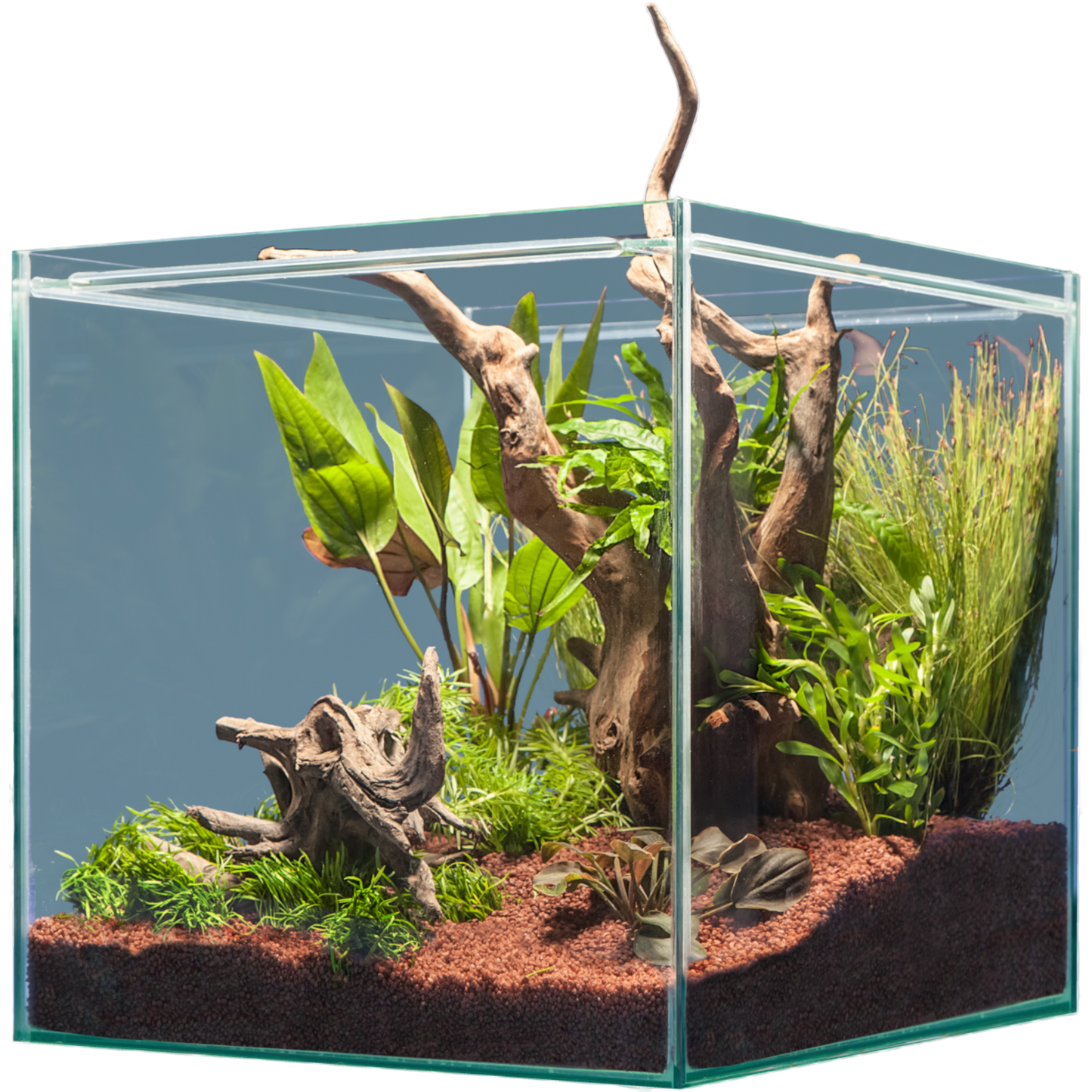 sera Hardscape South America – für 64 l - AQUAWORLD.AT