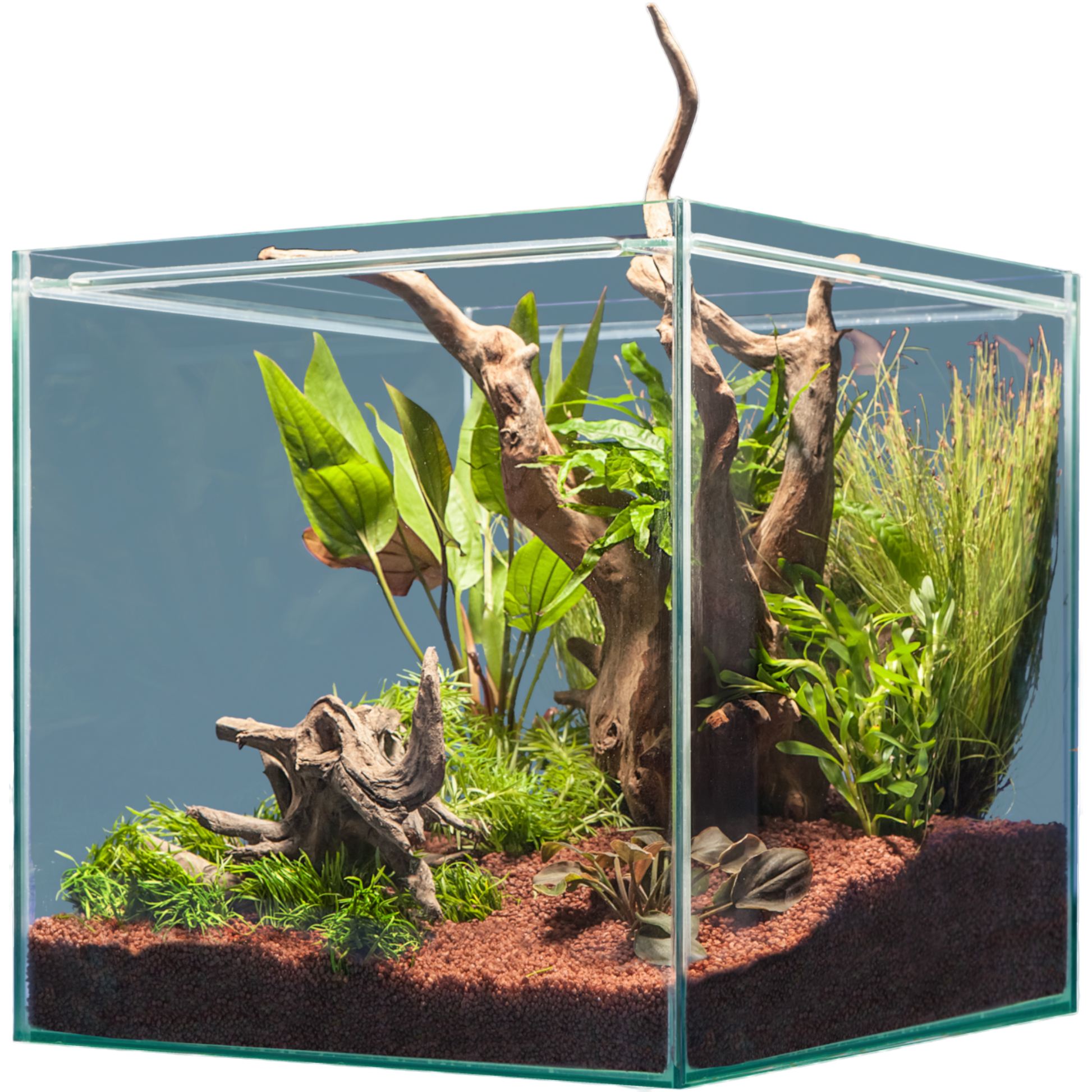sera Hardscape South America – für 64 l - AQUAWORLD.AT
