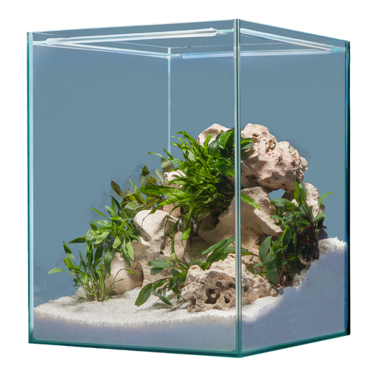 sera Hardscape Africa – für 80 l - AQUAWORLD.AT