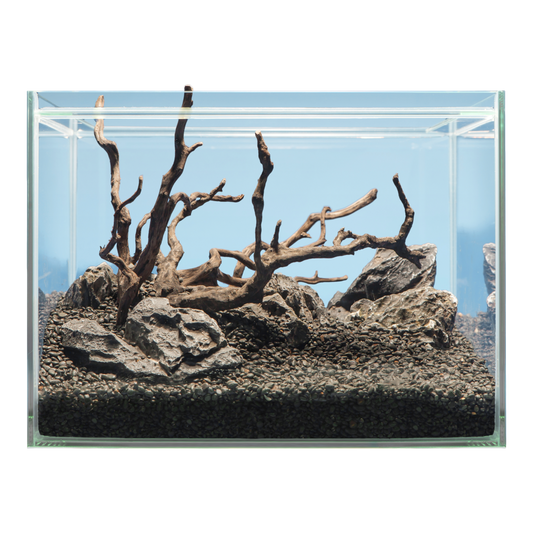 sera Hardscape Shrimp – für 48 l - AQUAWORLD.AT
