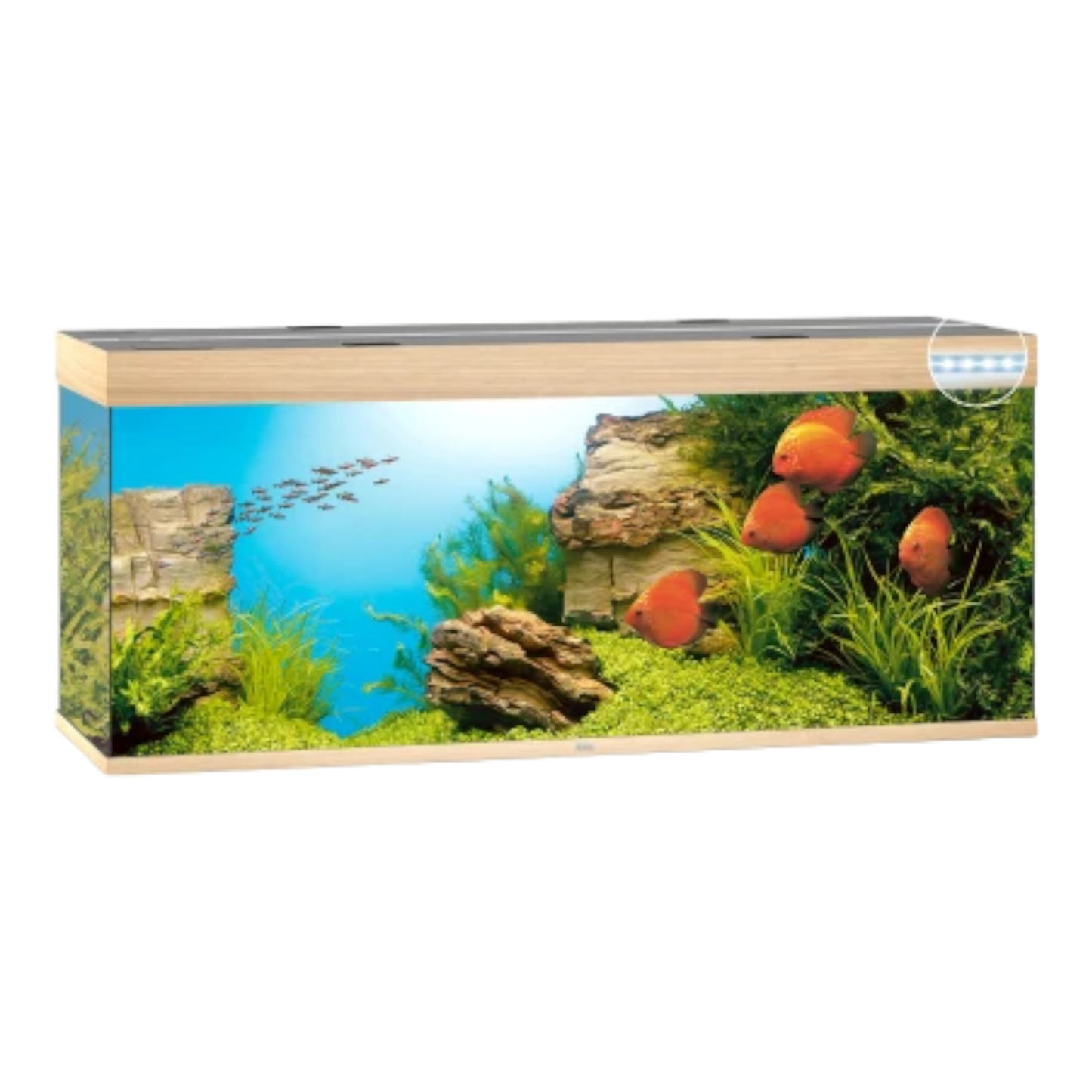 JUWEL RIO 450 Led 
