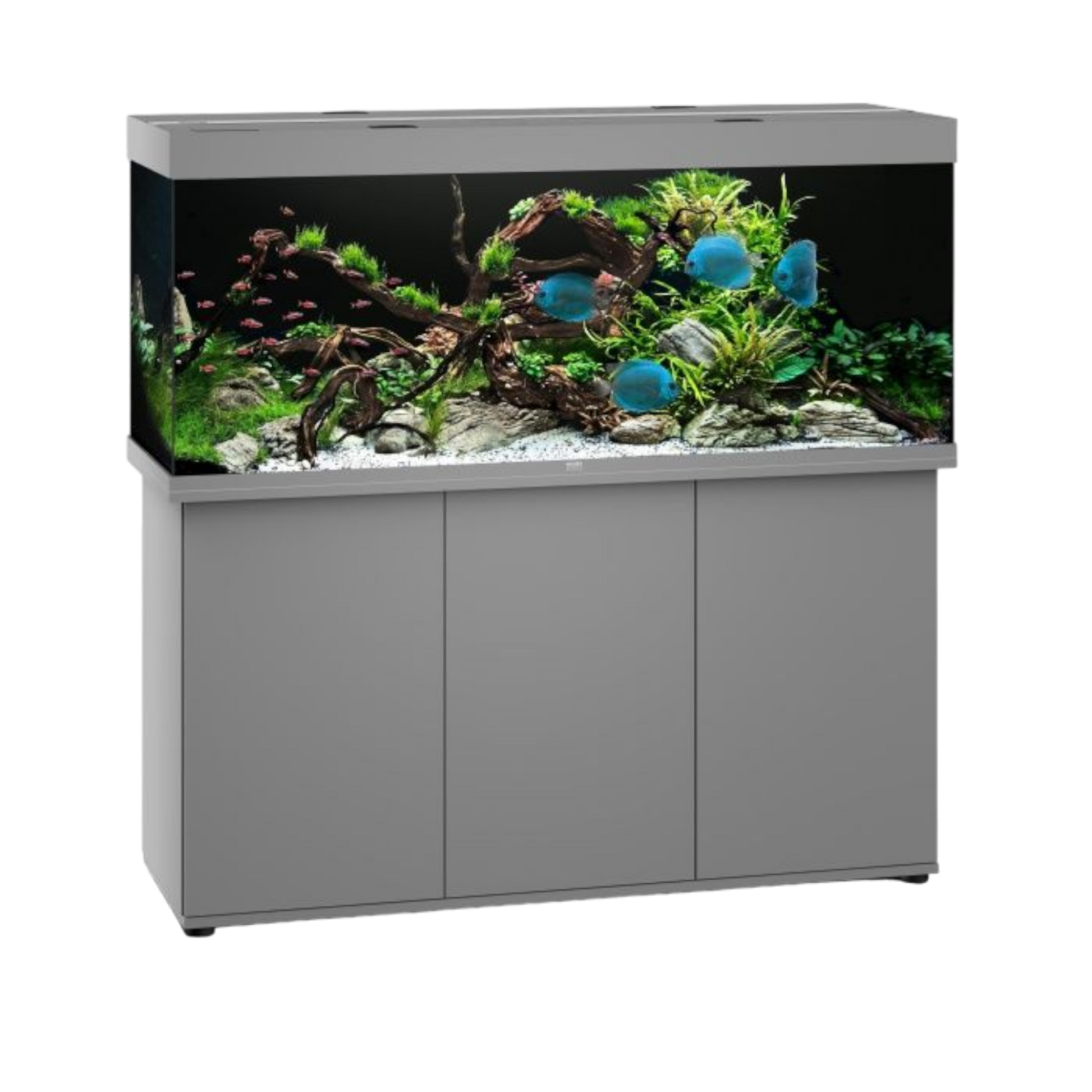 JUWEL RIO 450 Led - AQUAWORLD.AT