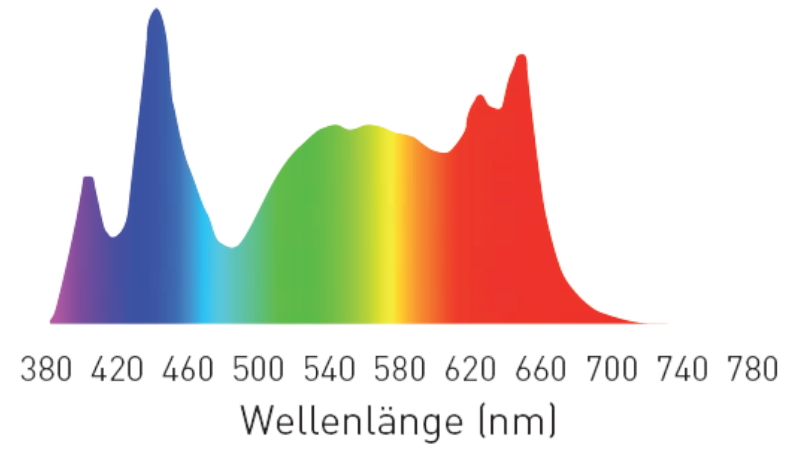 Suesswasser-Spektrum-HC-