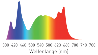 Suesswasser-Spektrum-HC-