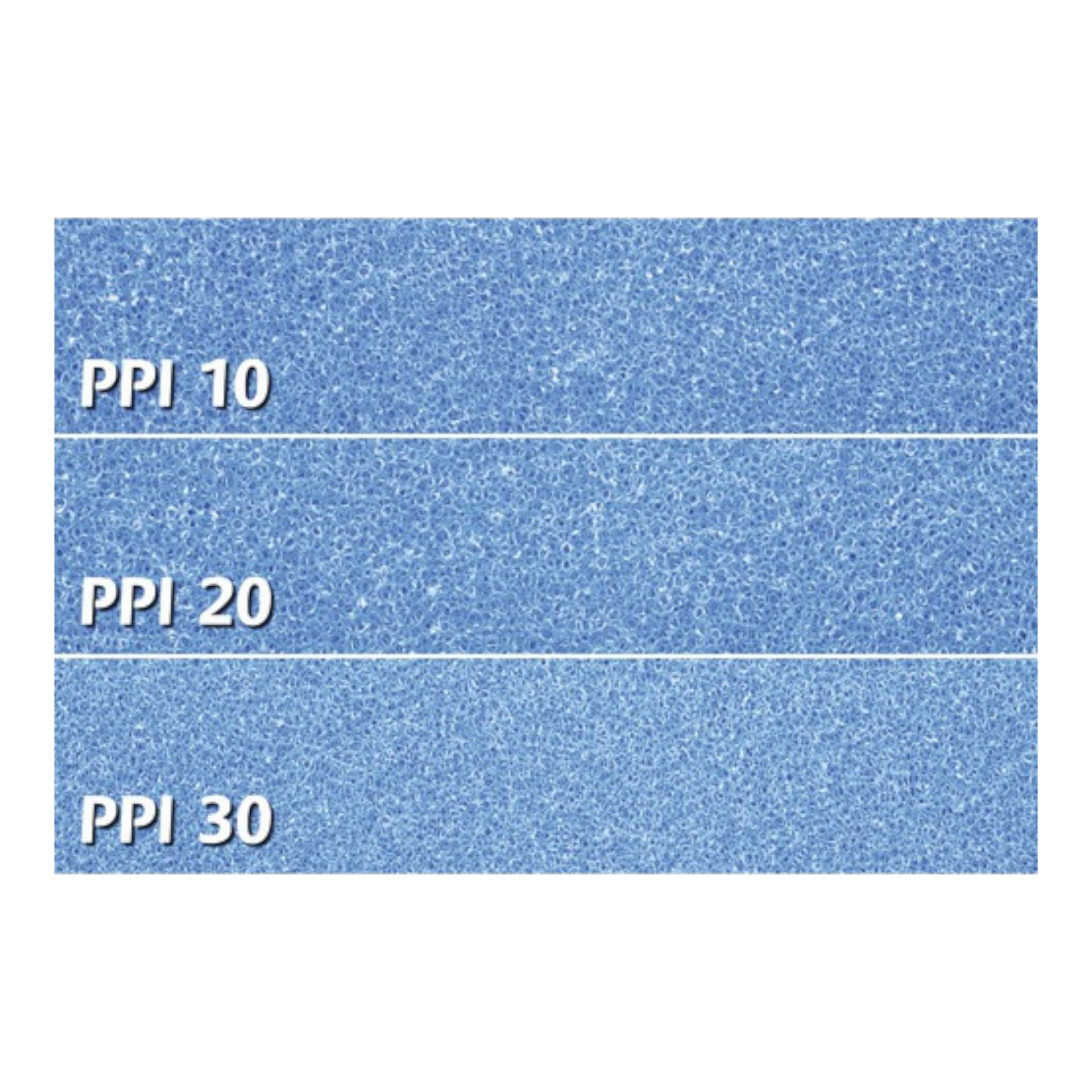 Papillon Filterschaum Blau Fein 50 × 50 × 10 cm (PPI30) - AQUAWORLD.AT