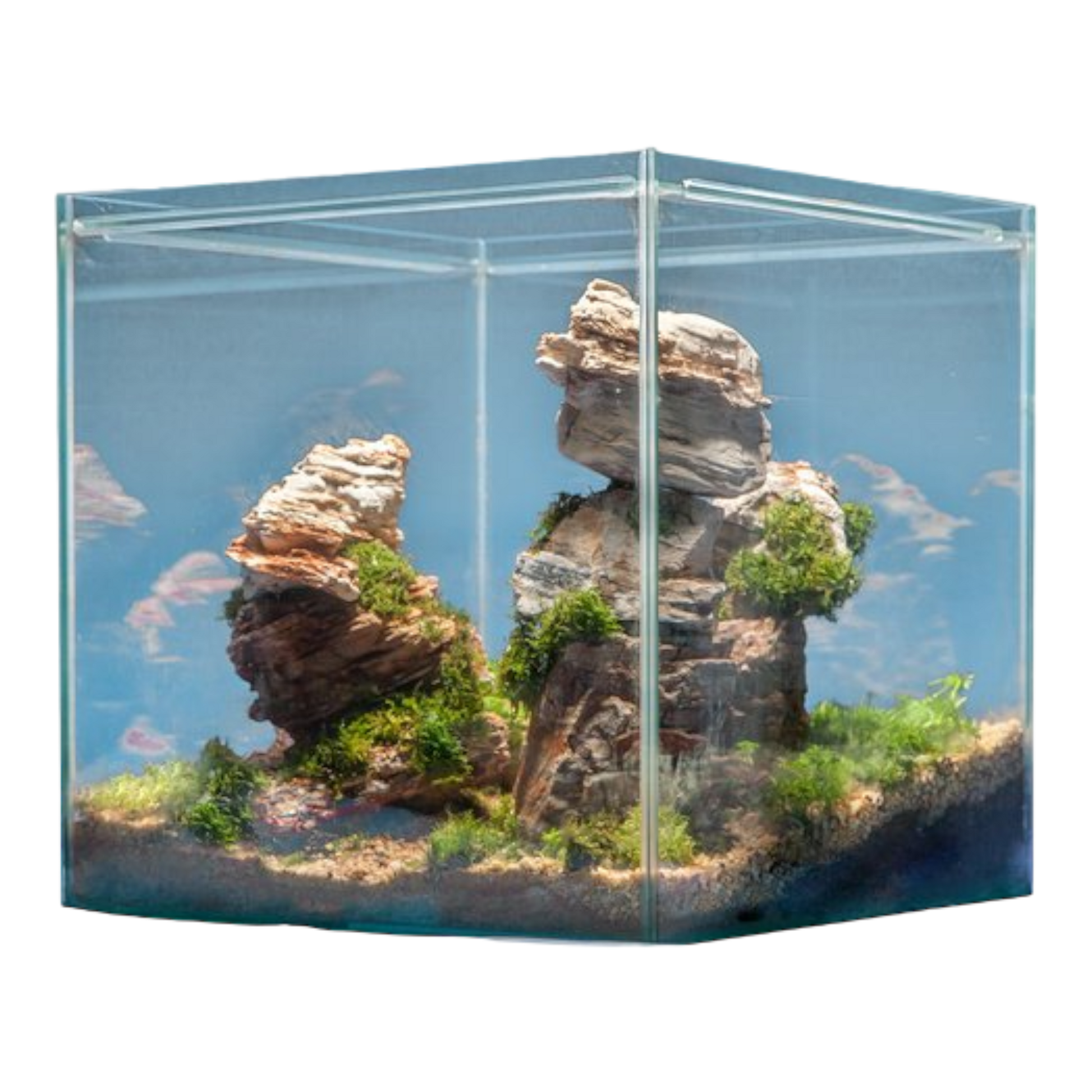 sera Hardscape Grand Canyon – für 64 l - AQUAWORLD.AT