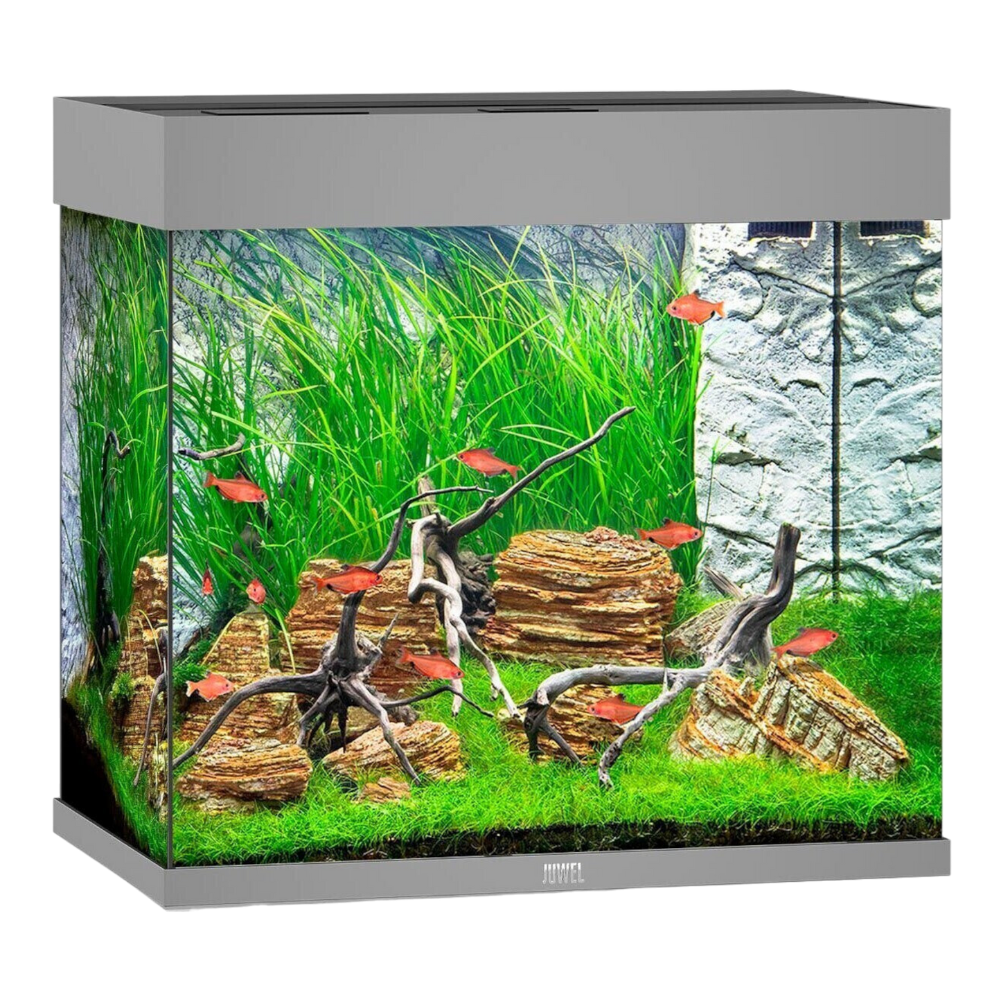 JUWEL LIDO 200 LED Aquarium – Kubisches Design - AQUAWORLD.AT, Erfolgreich durch Fachliche Beratung