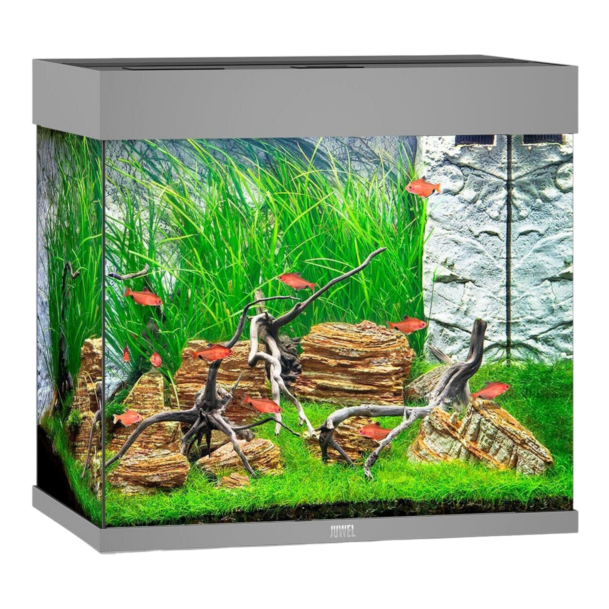 JUWEL LIDO 200 LED Aquarium – Kubisches Design - AQUAWORLD.AT, Erfolgreich durch Fachliche Beratung