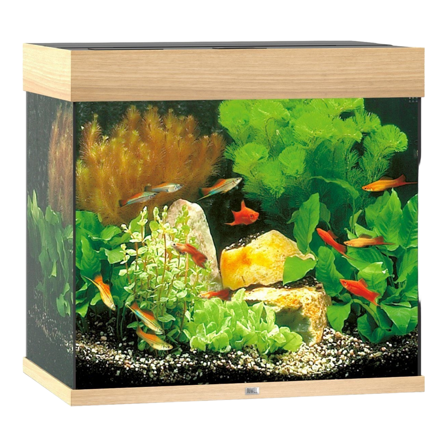 JUWEL LIDO 200 LED Aquarium – Kubisches Design - AQUAWORLD.AT, Erfolgreich durch Fachliche Beratung