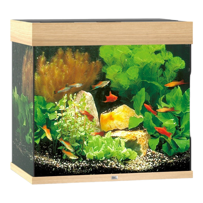 JUWEL LIDO 200 LED Aquarium – Kubisches Design - AQUAWORLD.AT, Erfolgreich durch Fachliche Beratung