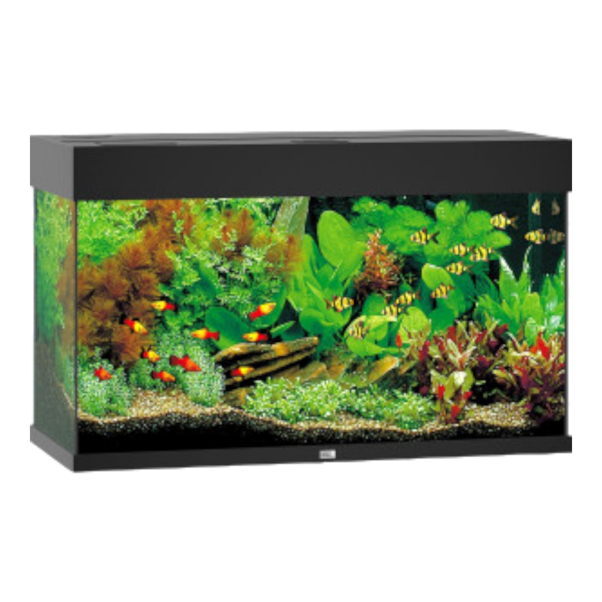 juwel-rio-125-led-ohne-schrank-schwarz
