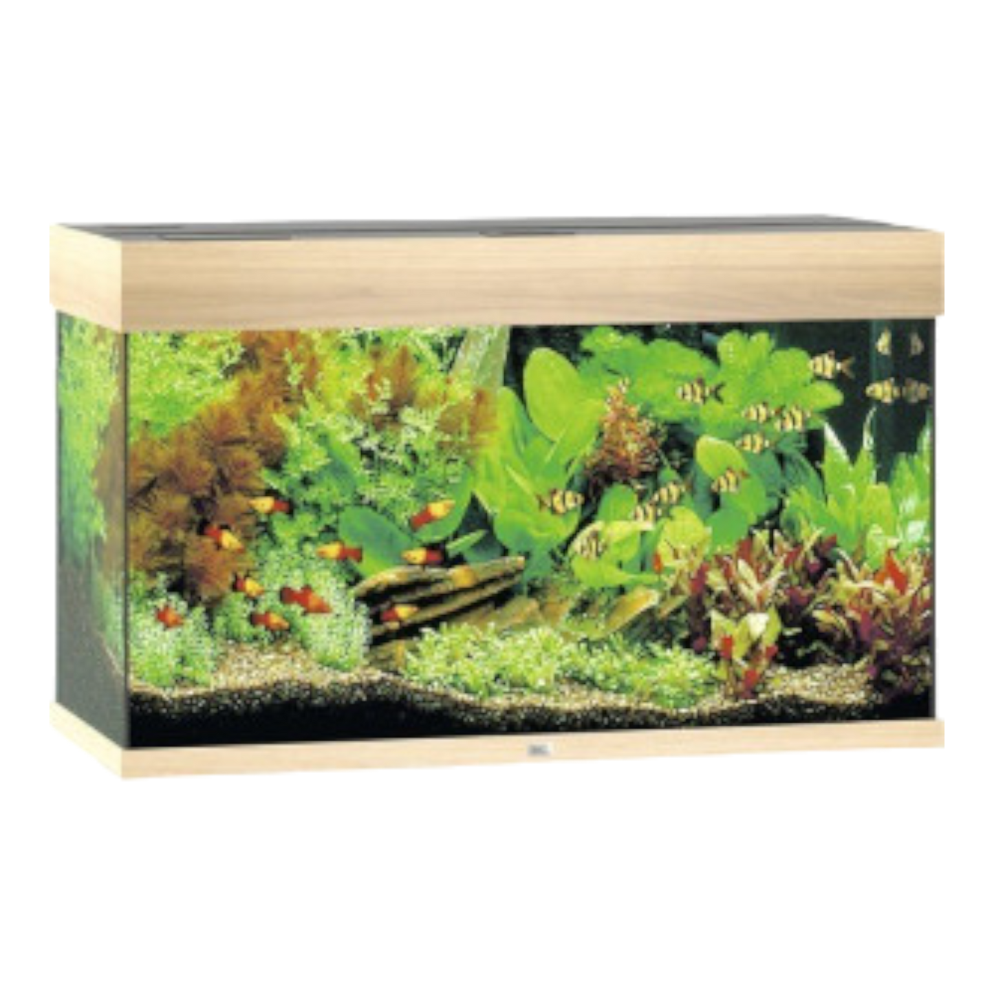 juwel-rio-125-led-ohne-schrank-schwarz-helles holz