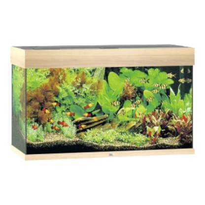 juwel-rio-125-led-ohne-schrank-schwarz-helles holz