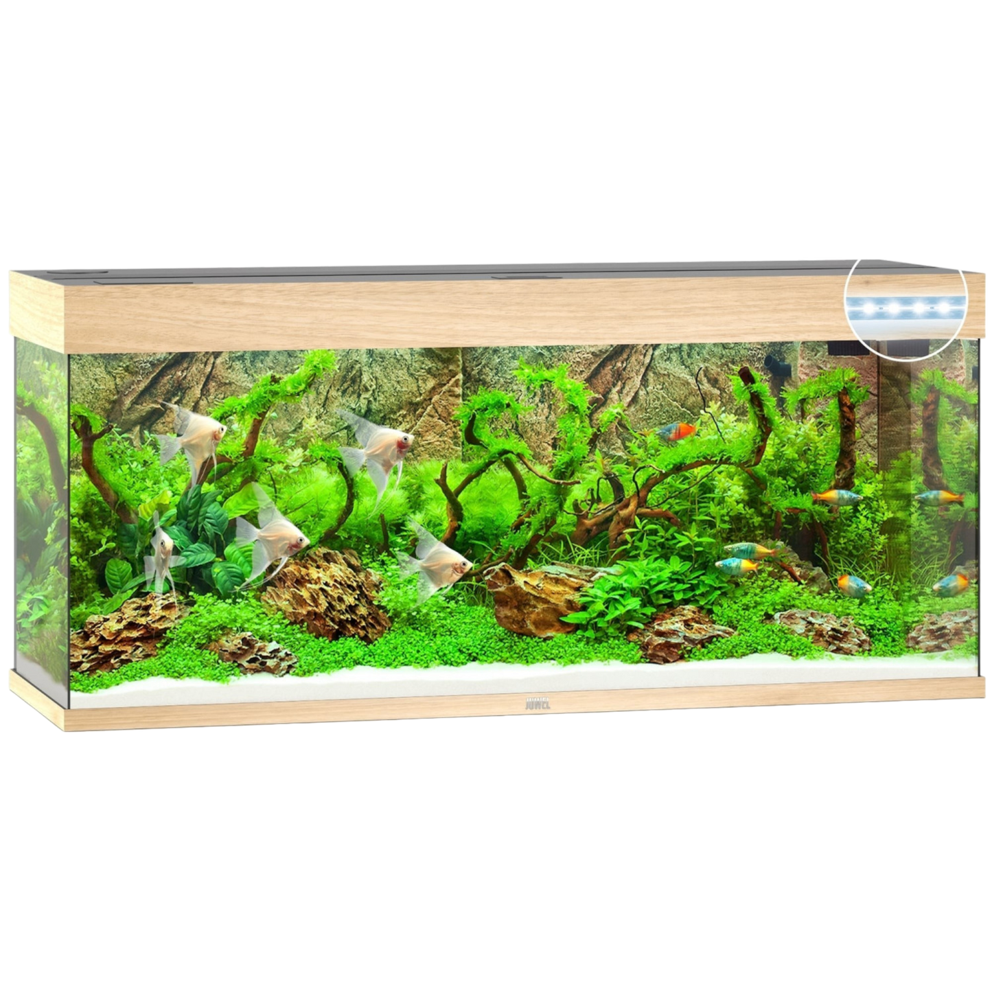 juwel-rio-240-led-ohne-schrank-helles-holz 