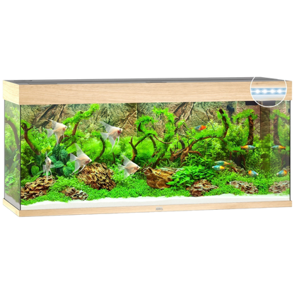 juwel-rio-240-led-ohne-schrank-helles-holz 