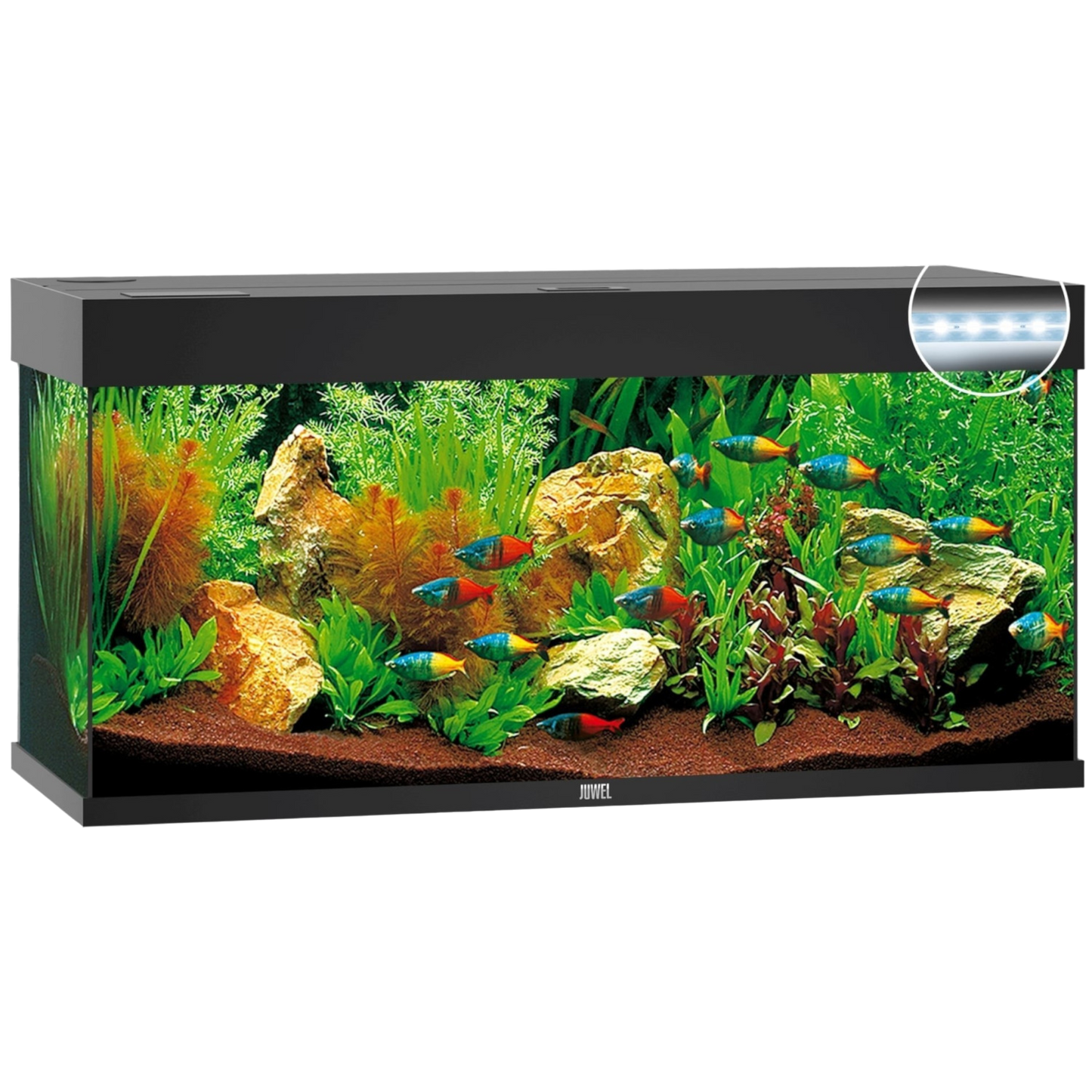 juwel-rio-240-led-ohne-schrank-grau- 