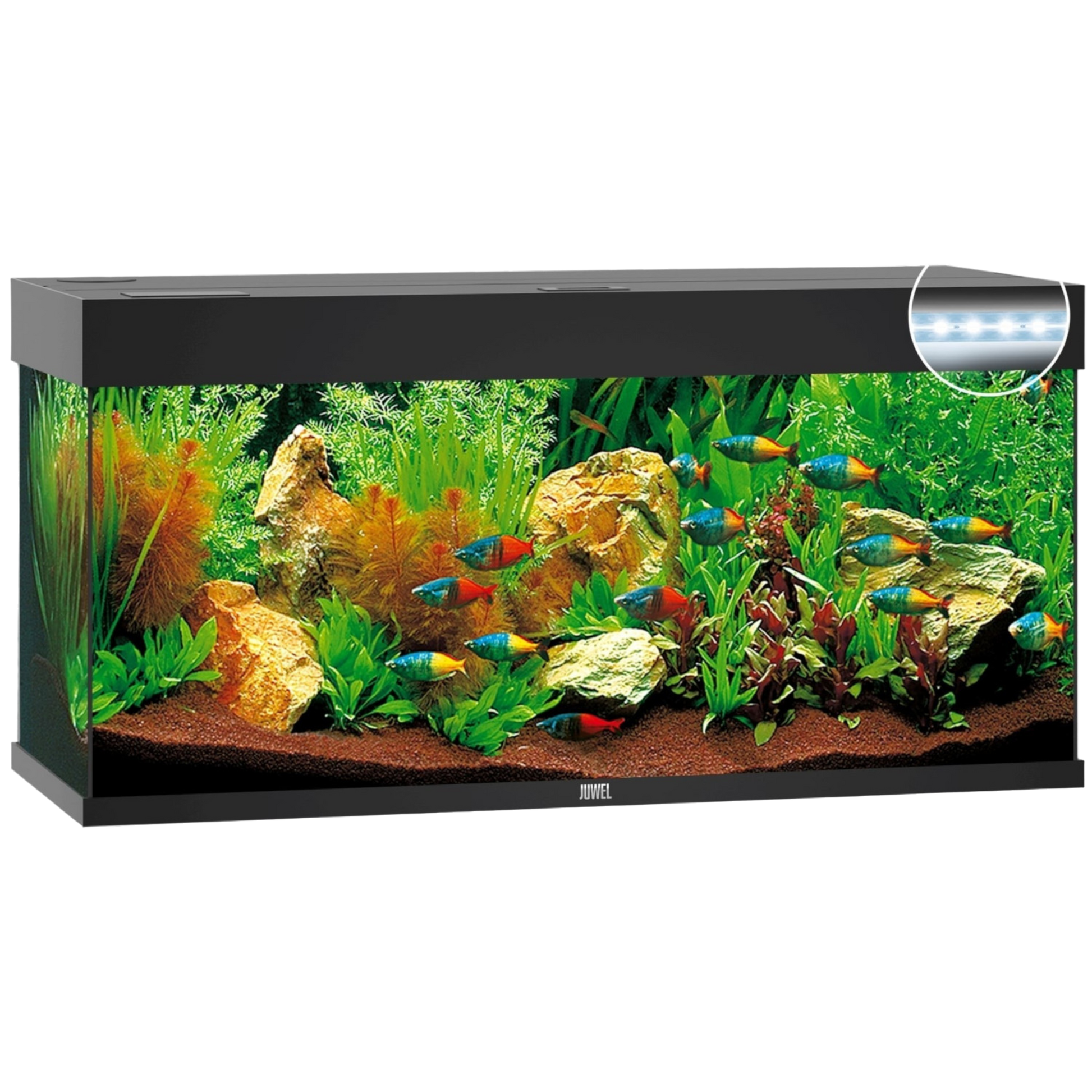 juwel-rio-240-led-ohne-schrank-grau- 