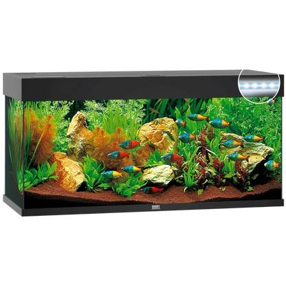 juwel-rio-240-led-ohne-schrank-grau- 